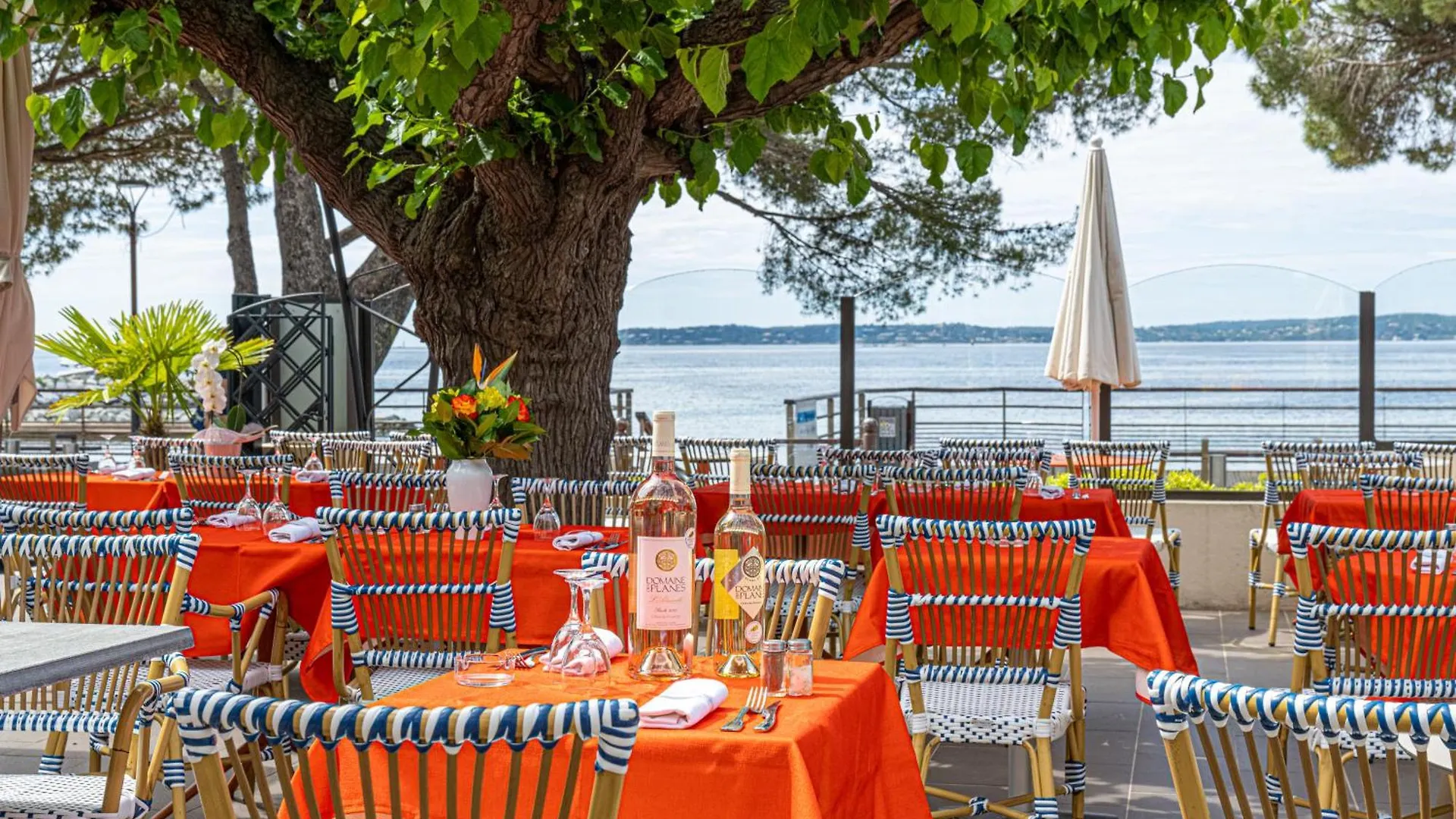 ***  Logis Hotel Le Provencal Les Issambres Frankrijk